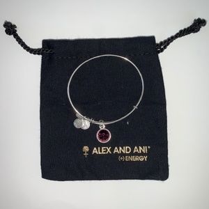 NWOT Alex and Ani February Birthstone Bracelet